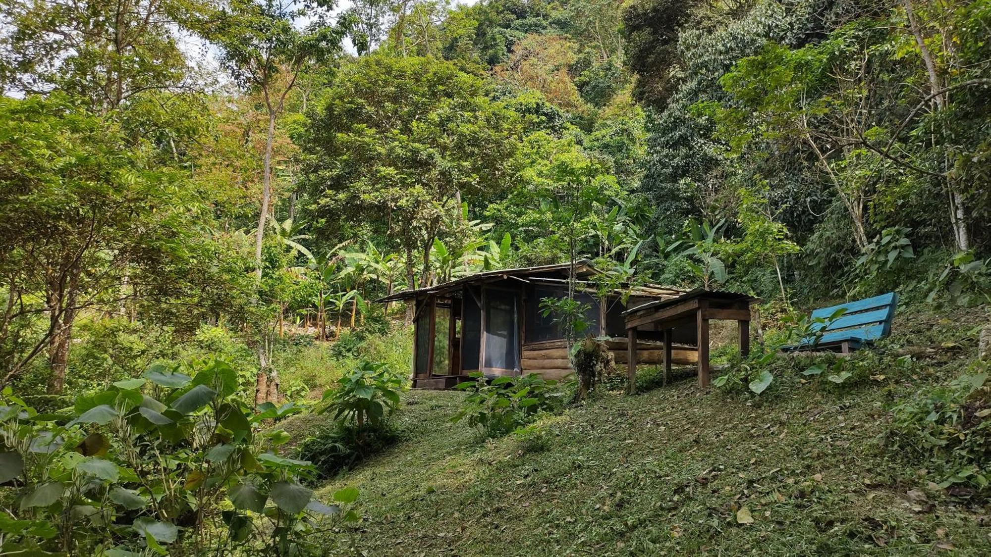 Lodge Monte La Mama *