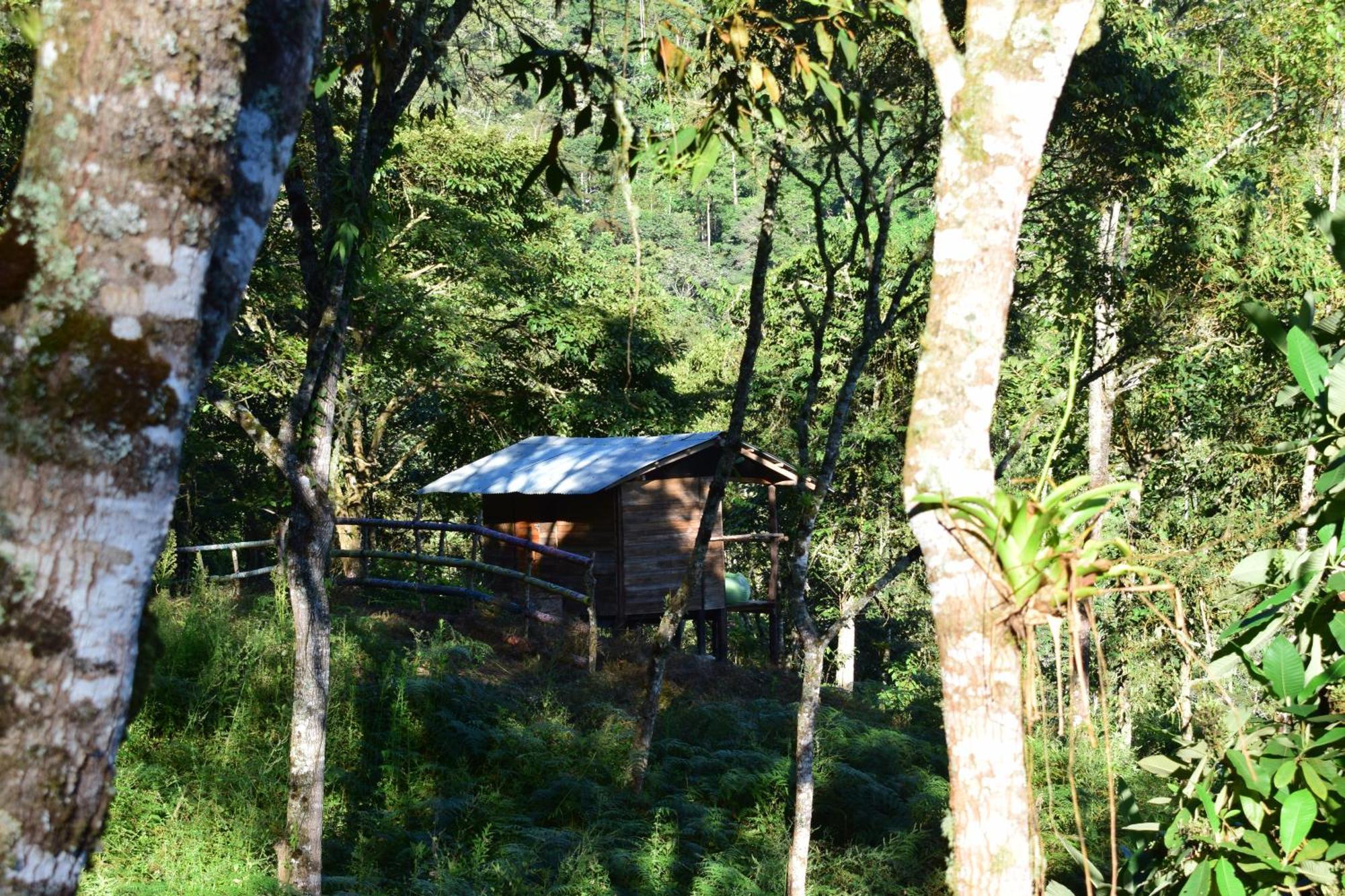 Monte La Mama Lodge Viota
