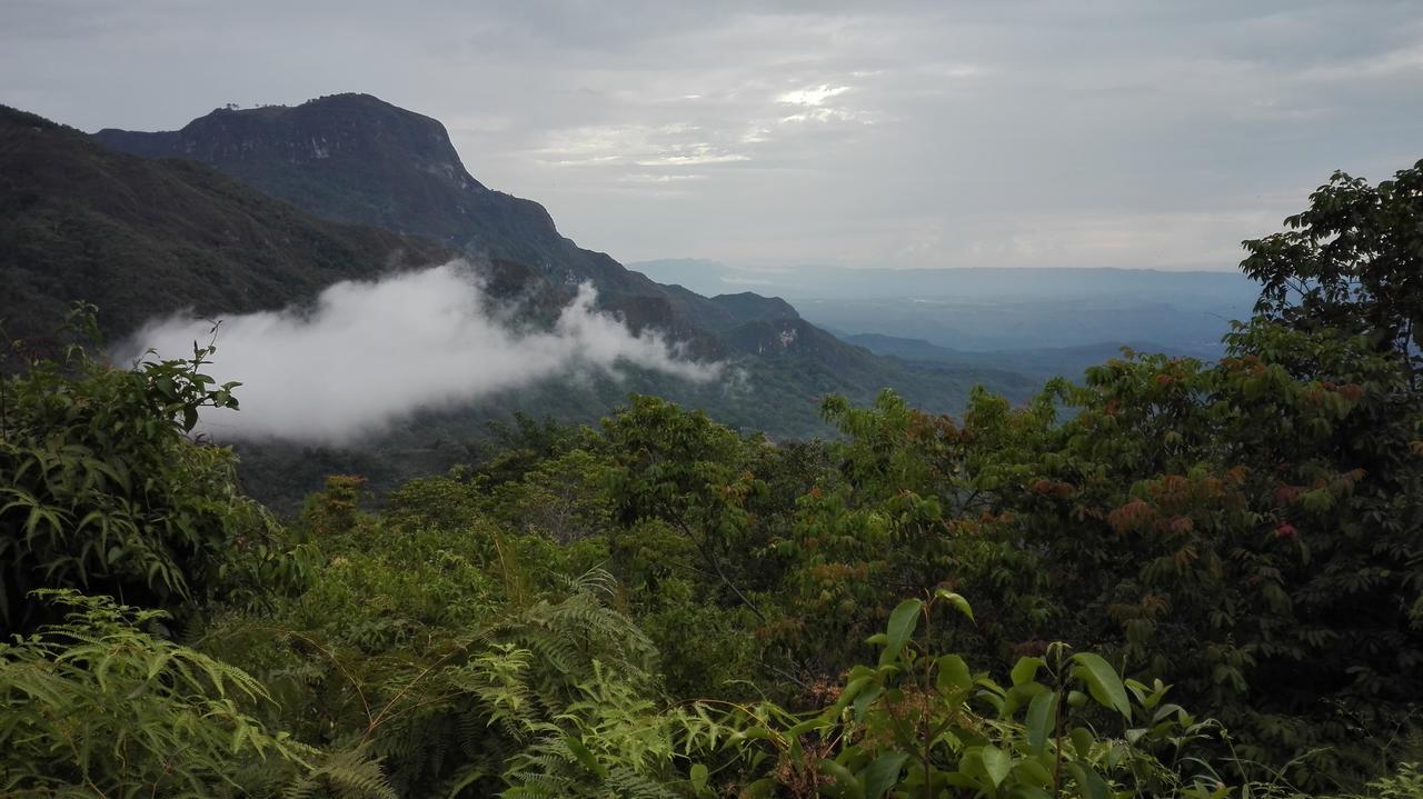 Monte La Mama Viota