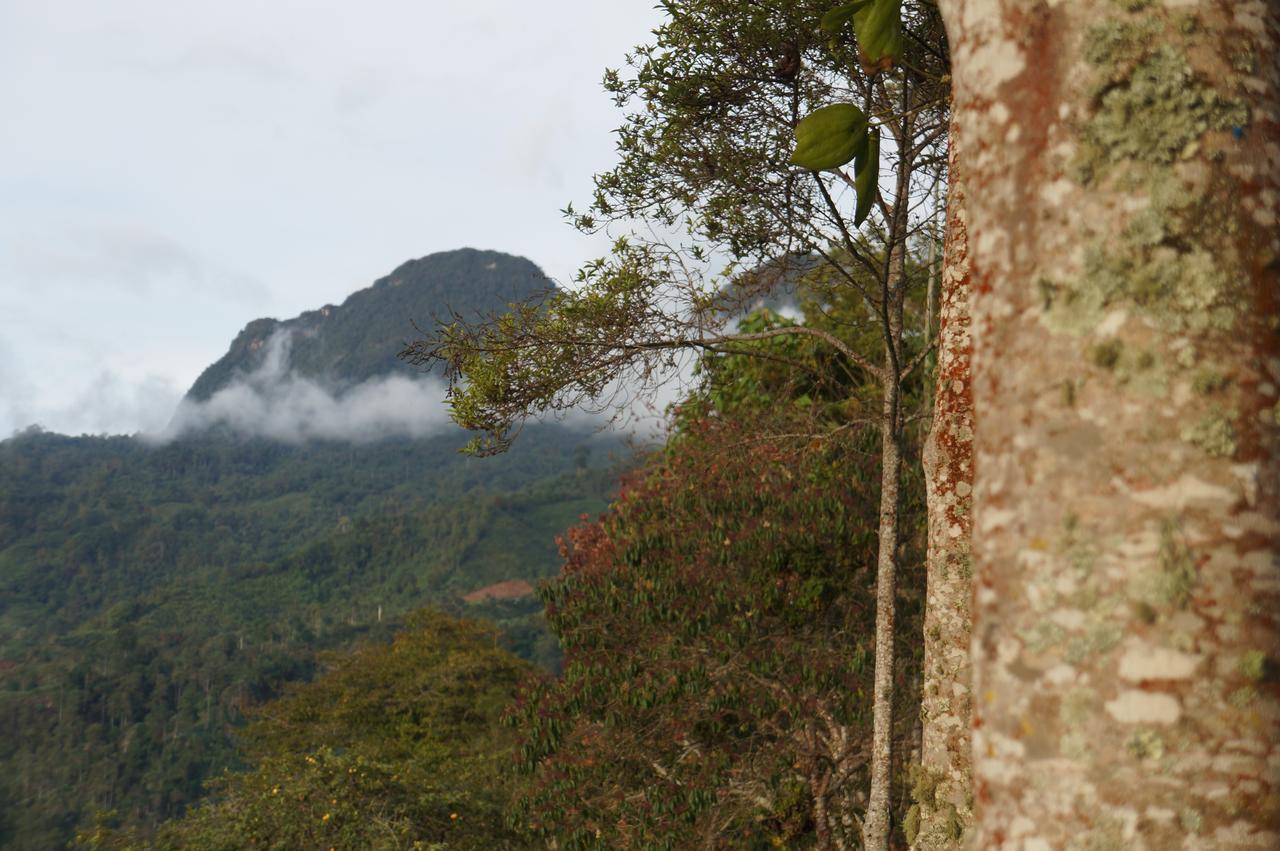 Lodge Monte La Mama *