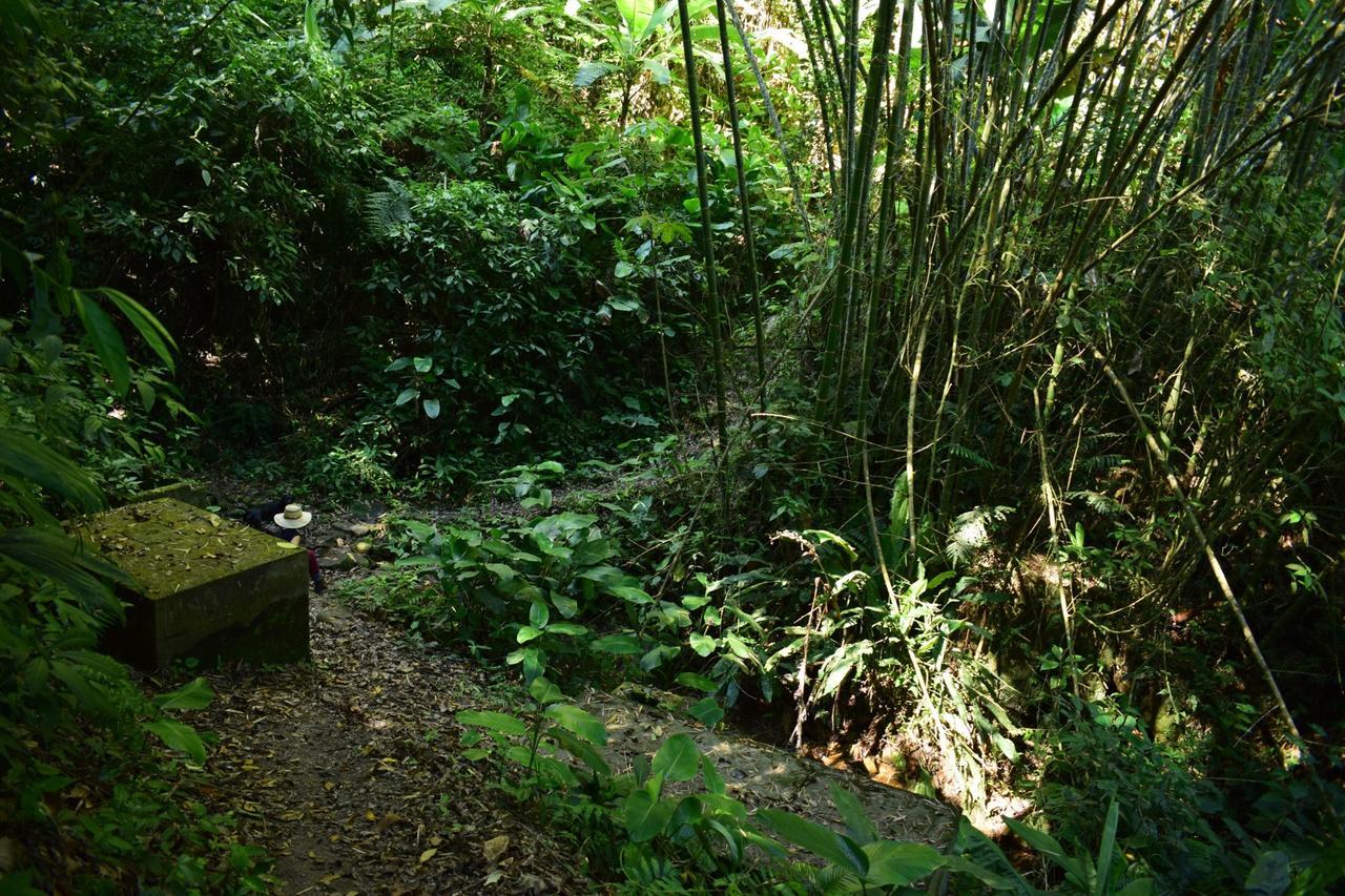Monte La Mama Viota