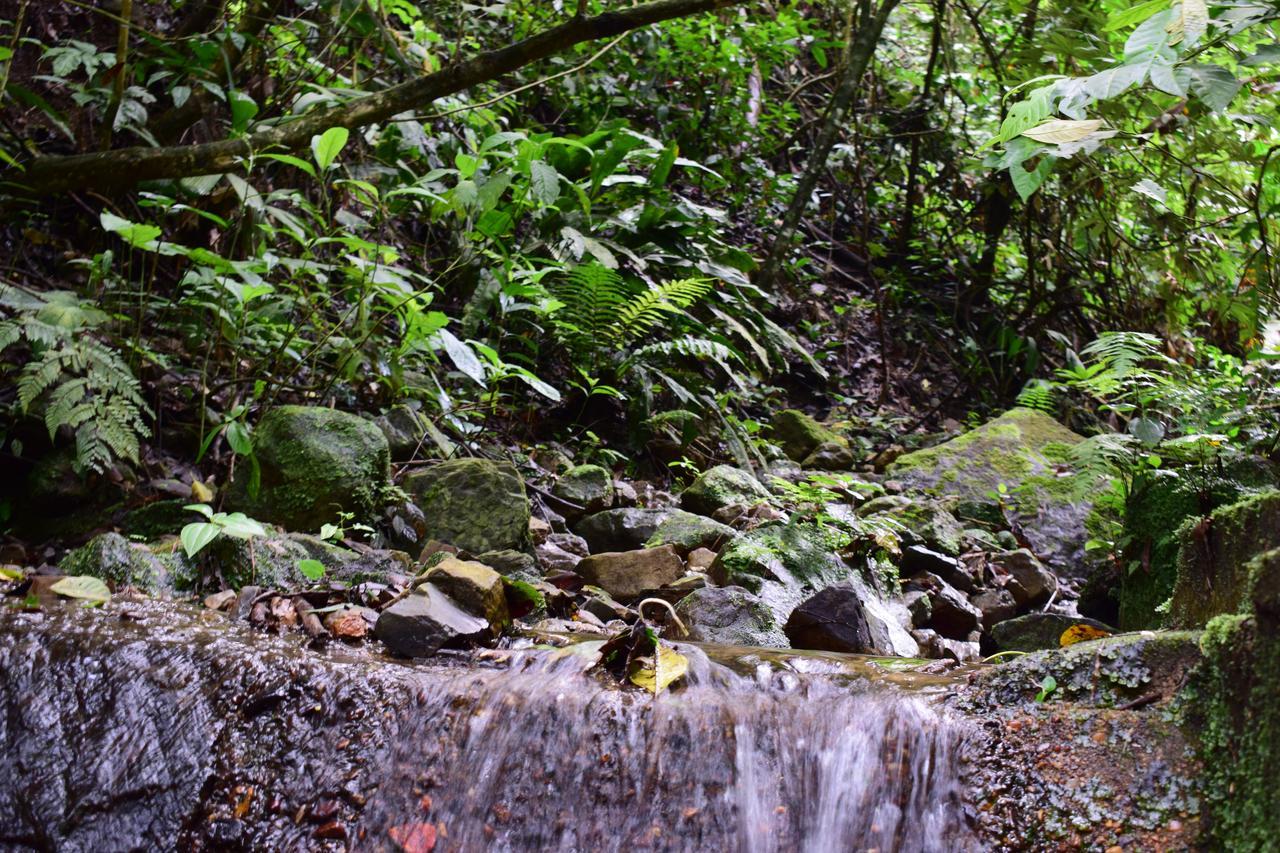 Lodge Monte La Mama