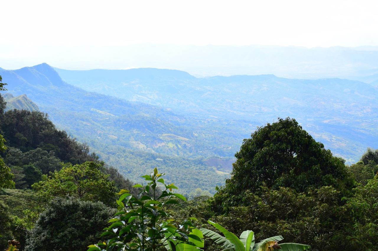 Monte La Mama 山林小屋 *