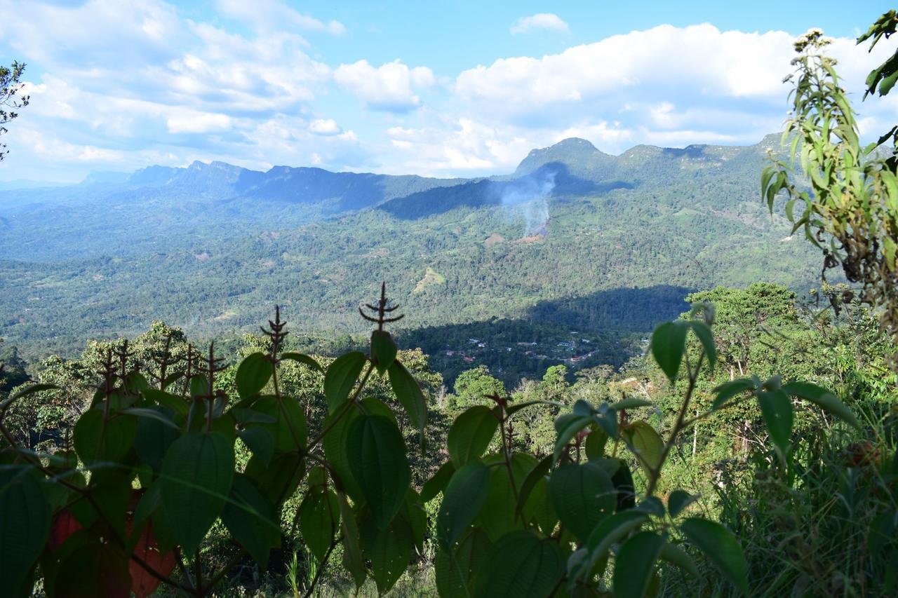 Monte La Mama Lodge