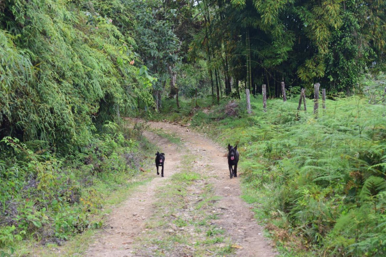 Lodge Monte La Mama Viota