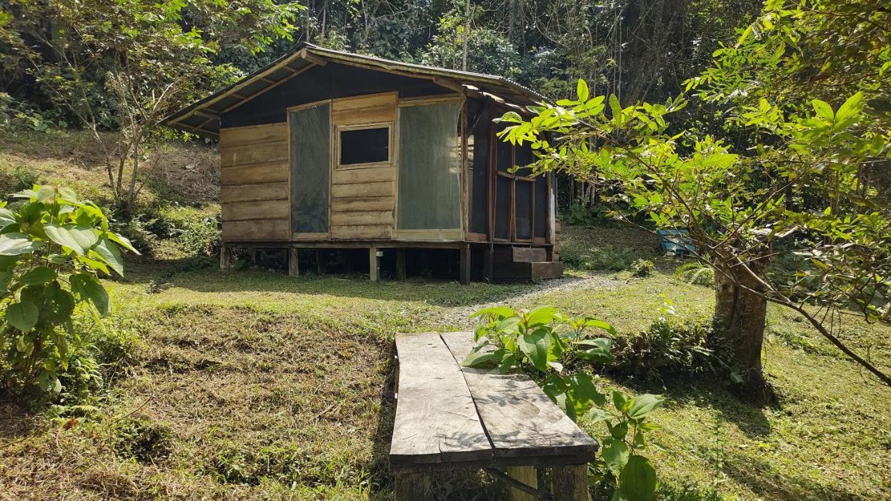 Monte La Mama Alojamento de Turismo Selvagem Viota