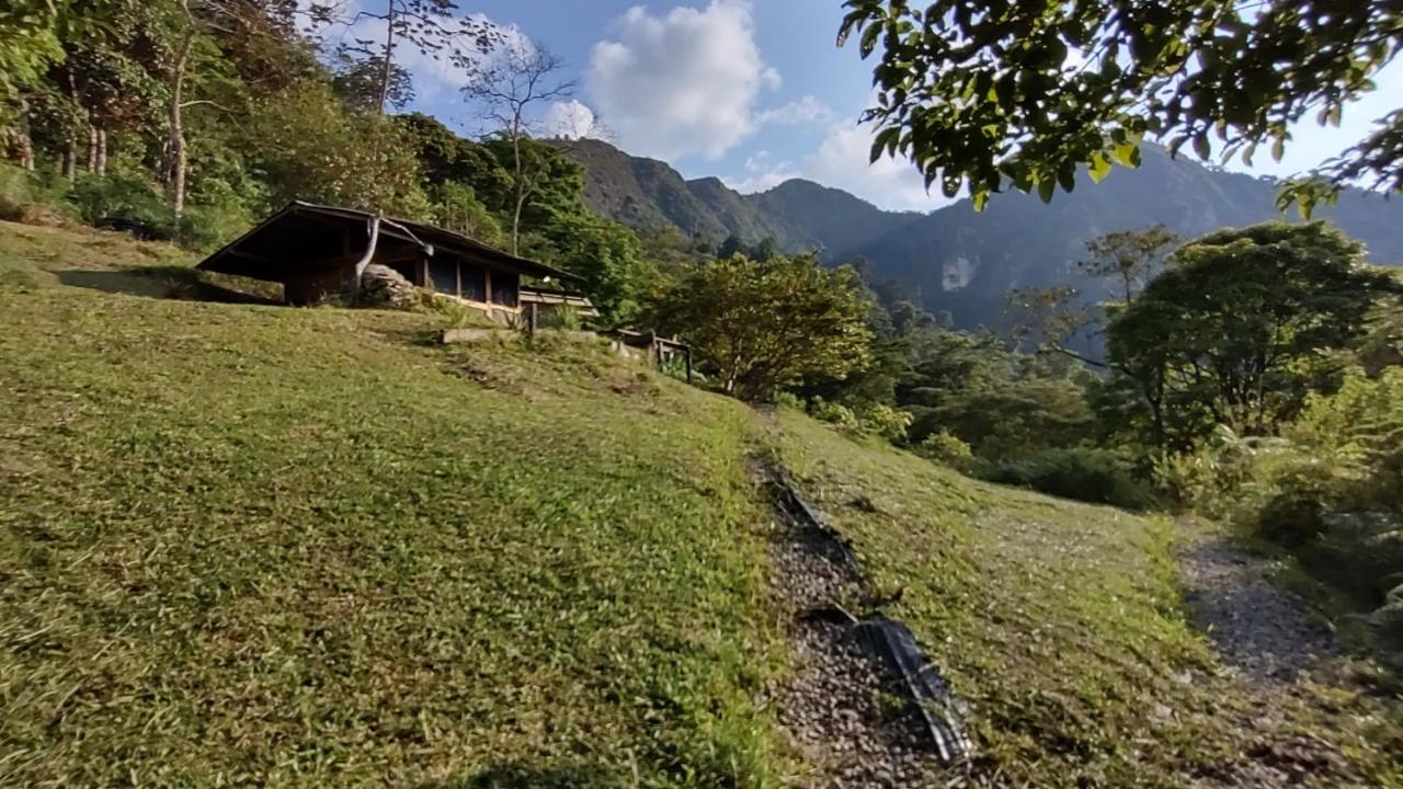 Alojamento de Turismo Selvagem Monte La Mama *