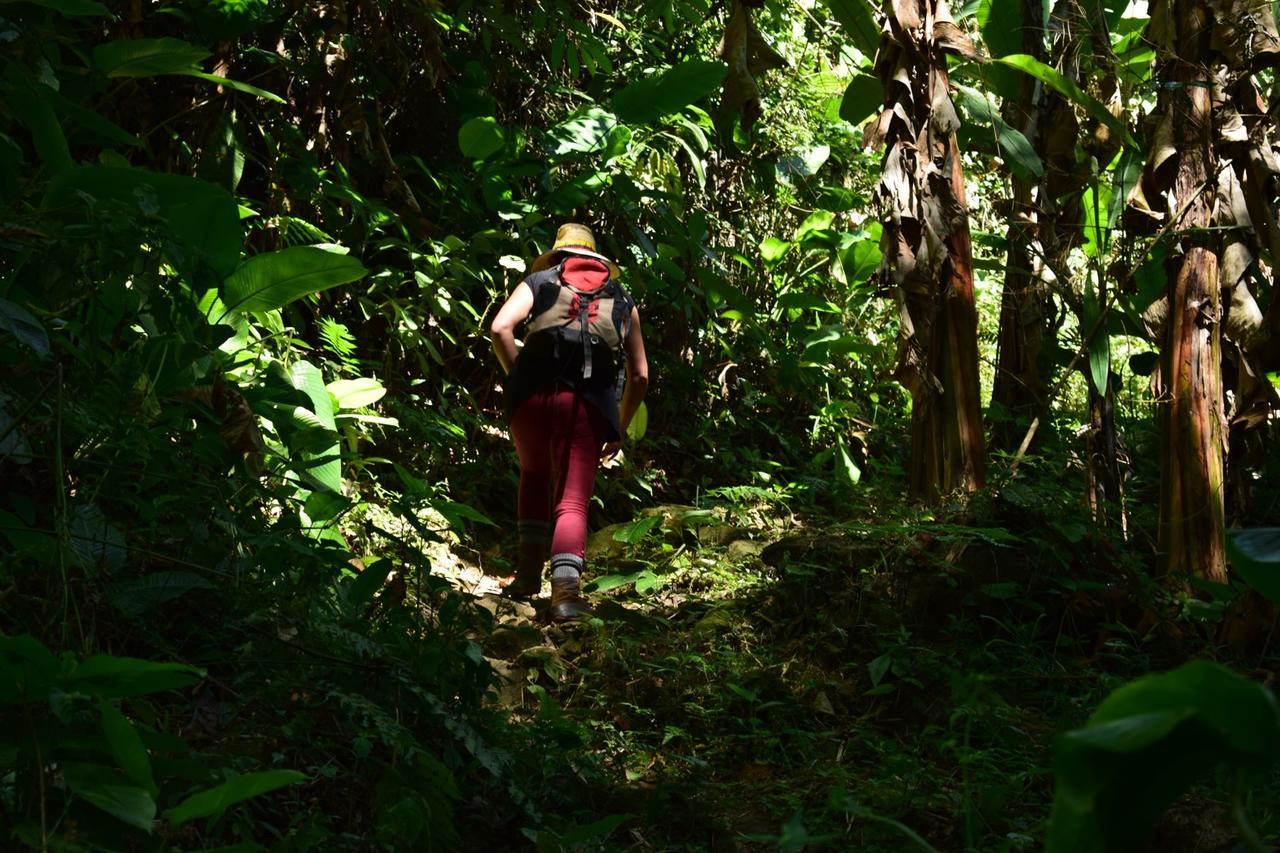 Alojamento de Turismo Selvagem Monte La Mama *