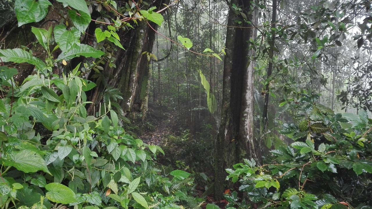 Monte La Mama Alojamento de Turismo Selvagem Viota
