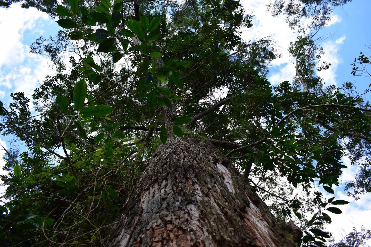 Alojamento de Turismo Selvagem Monte La Mama